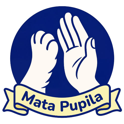 Mata Pupila